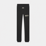 Pantalon Essentials – Iron (1977)