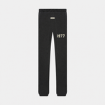 1977 Essentials Pantalon – Iron